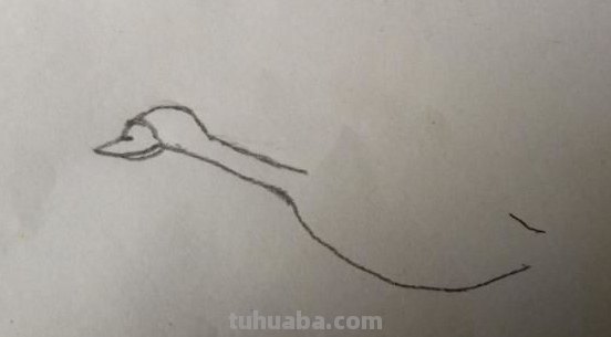 大雁简笔画怎么画 三笔画大雁南飞? 大雁简笔画怎么画 三笔画大雁南飞?