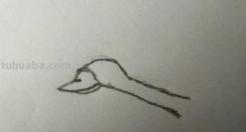 大雁简笔画怎么画 三笔画大雁南飞? 大雁简笔画怎么画 三笔画大雁南飞?
