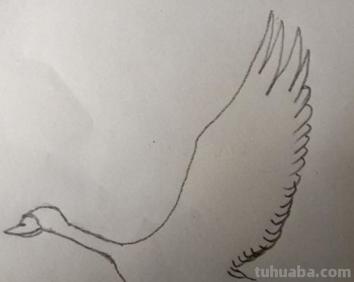 大雁简笔画怎么画 三笔画大雁南飞? 大雁简笔画怎么画 三笔画大雁南飞?