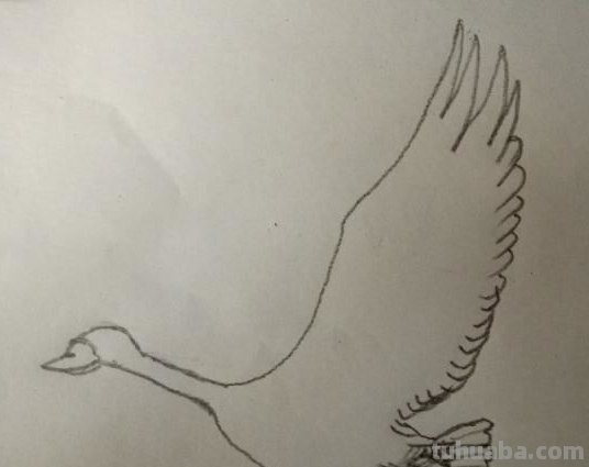 大雁简笔画怎么画 三笔画大雁南飞? 大雁简笔画怎么画 三笔画大雁南飞?