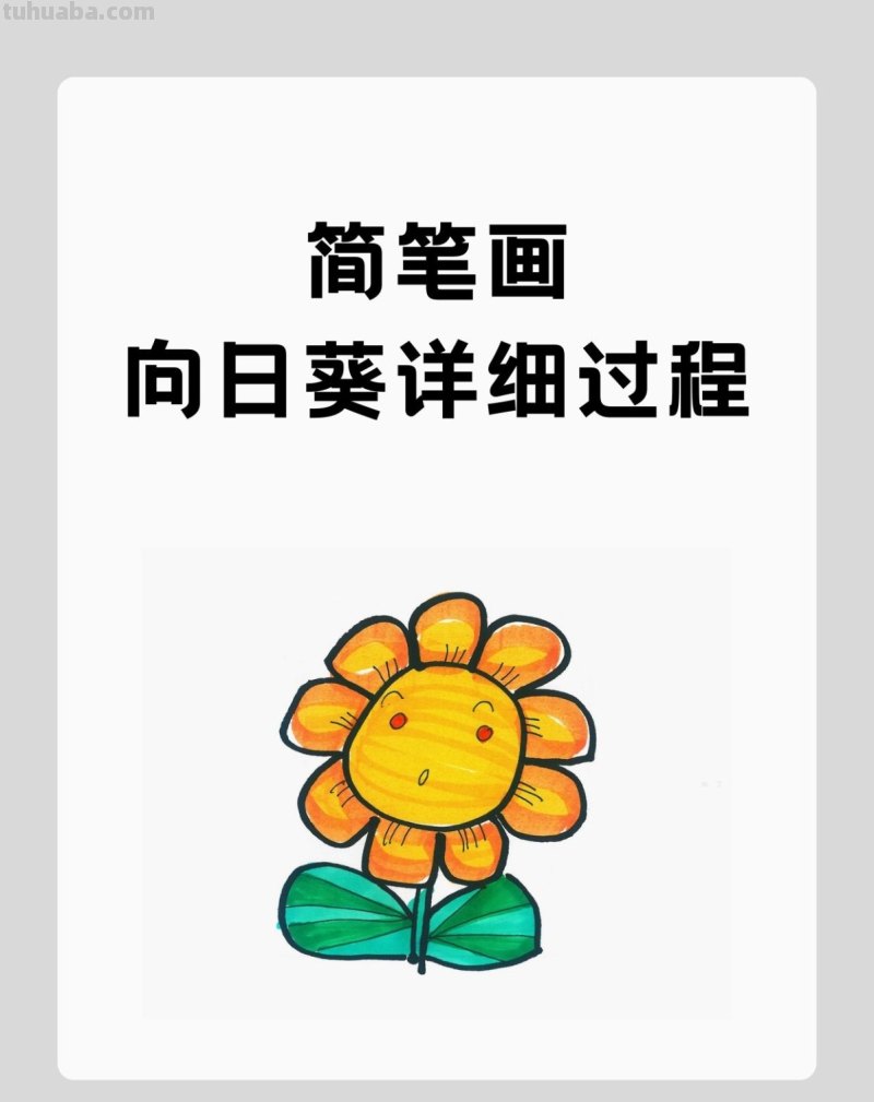 向日葵简笔画的步骤 向日葵简笔画的步骤图片