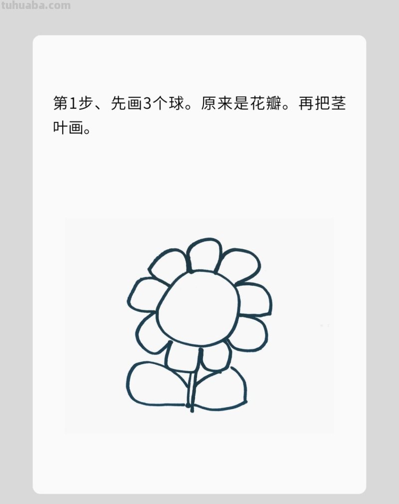 简笔画向日葵详细过程