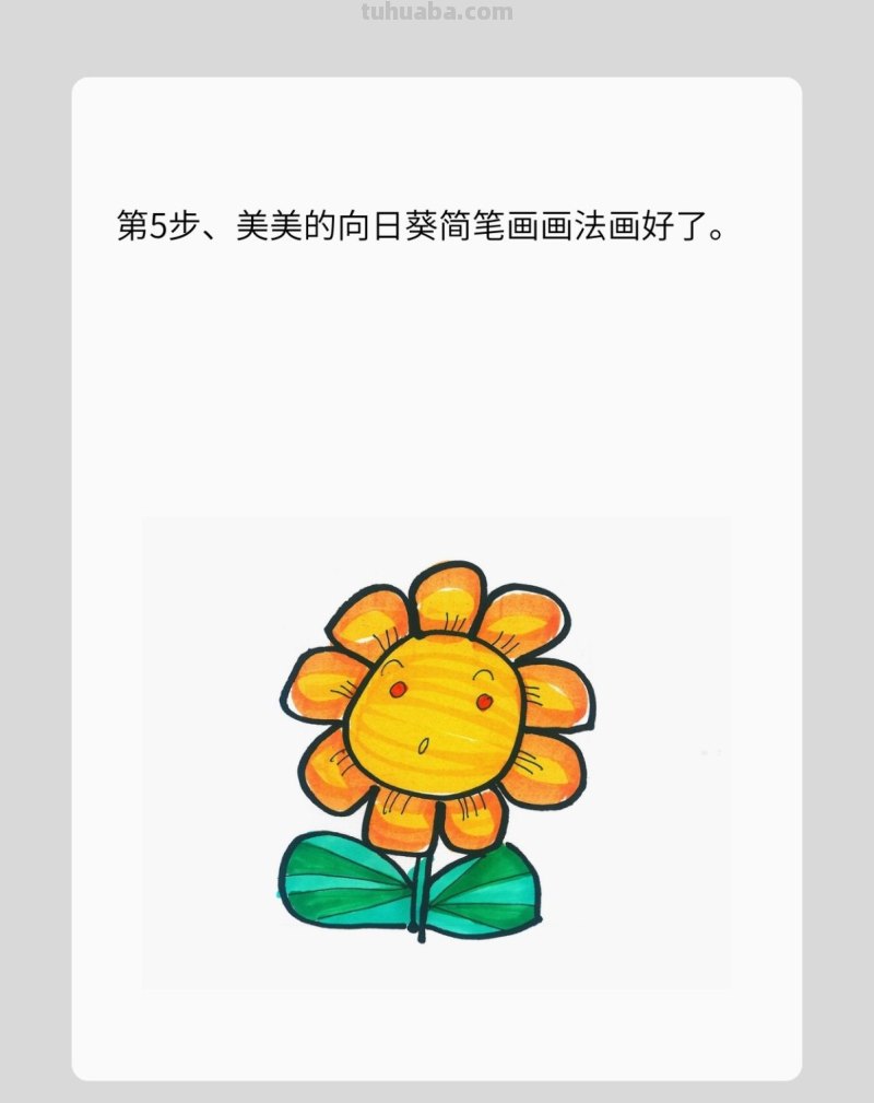 简笔画向日葵详细过程