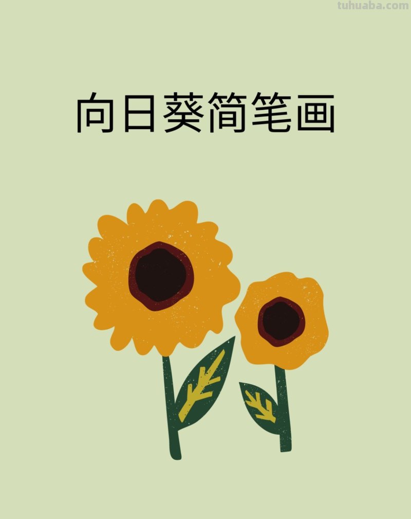 向日葵简笔画