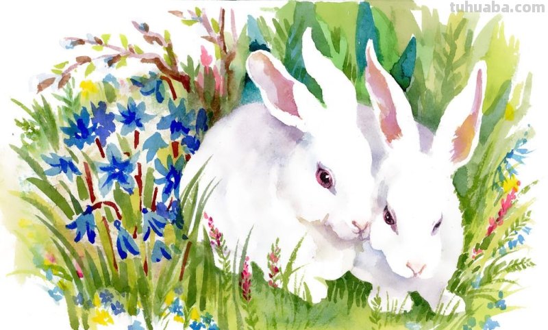 非常齐全的水彩工具介绍