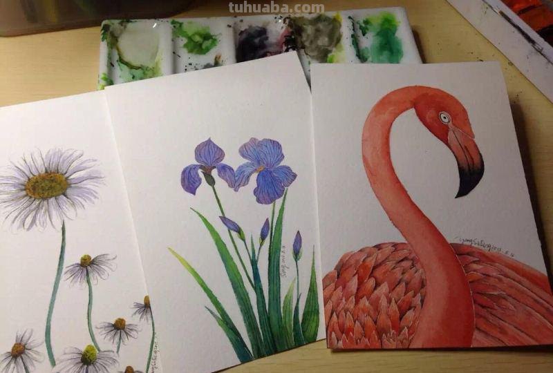 非常齐全的水彩工具介绍