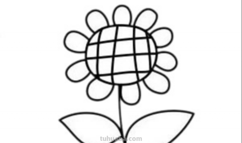 画向日葵怎么画