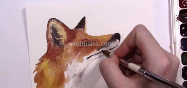 画狐狸怎么画