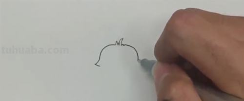 狐狸怎么画可爱又漂亮