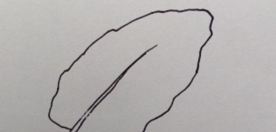 树叶怎么画简单又好看