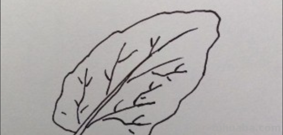 树叶怎么画简单又好看