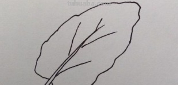 树叶怎么画简单又好看