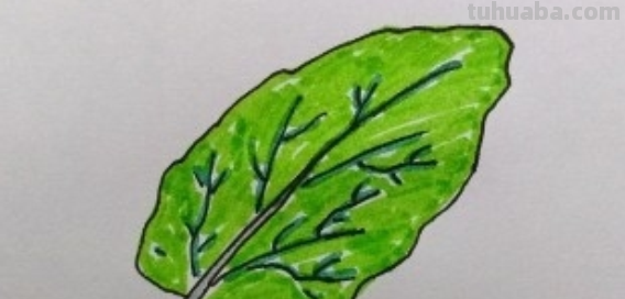 树叶怎么画简单又好看