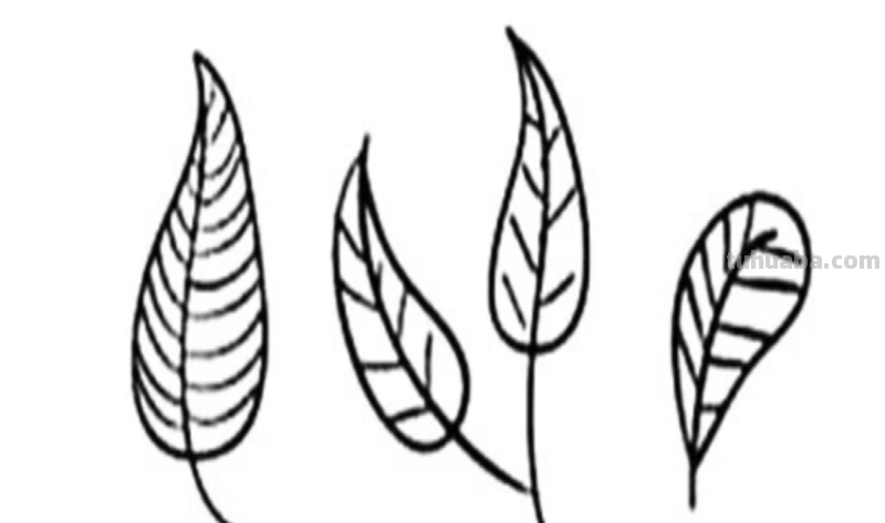 叶子怎么画简单又好看