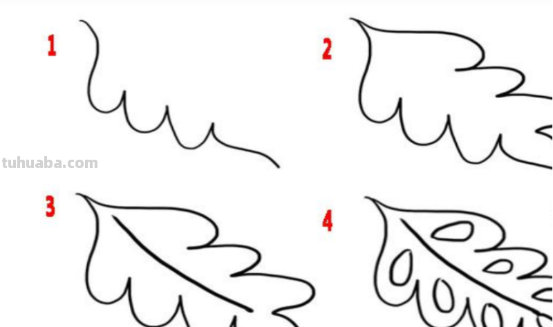 叶子怎么画简单又好看