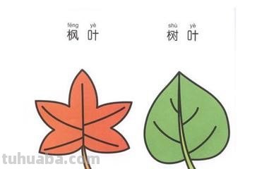 树叶怎样画即简单又好看?
