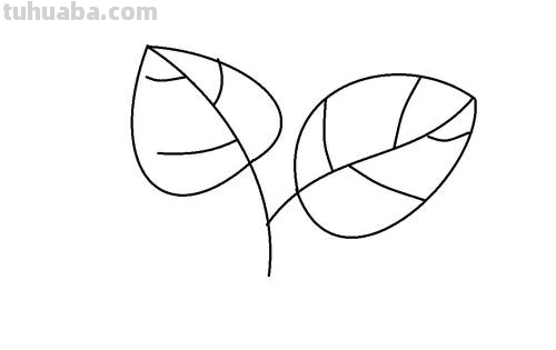 叶子怎么画简单又好看