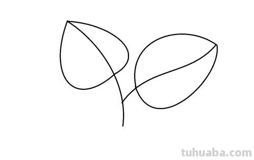 叶子怎么画简单又好看