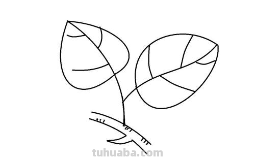 叶子怎么画简单又好看