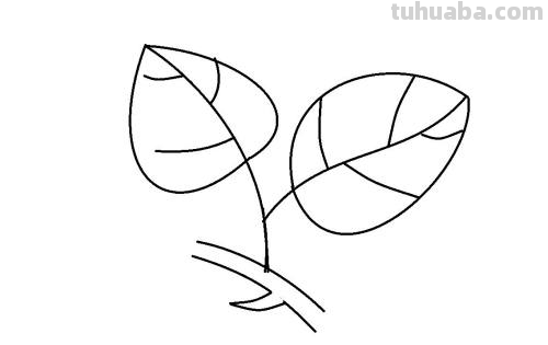叶子怎么画简单又好看