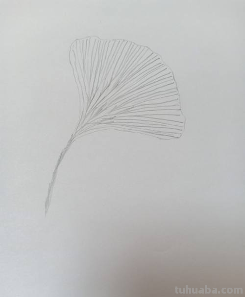 树叶怎么画简单又好看