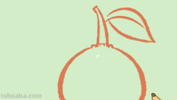 橘子长在哪里图片 简笔画