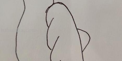 喜鹊怎么画古风彩铅 简笔画枝头喜鹊的画法？