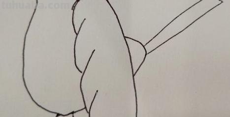 喜鹊怎么画古风彩铅 简笔画枝头喜鹊的画法？