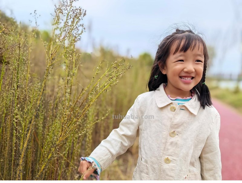 今年双11摄影器材怎么选？是买镜头，还是微单机身，还是手机？