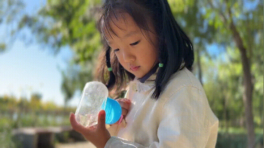 今年双11摄影器材怎么选？是买镜头，还是微单机身，还是手机？