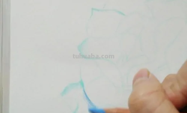 蓝色妖姬切尔西怎么画