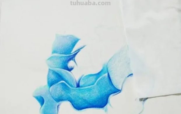 蓝色妖姬切尔西怎么画