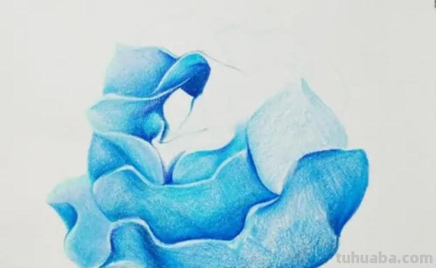 蓝色妖姬切尔西怎么画