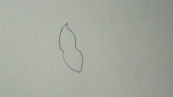 红色风暴蓝色妖姬怎么画