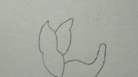 红色风暴蓝色妖姬怎么画