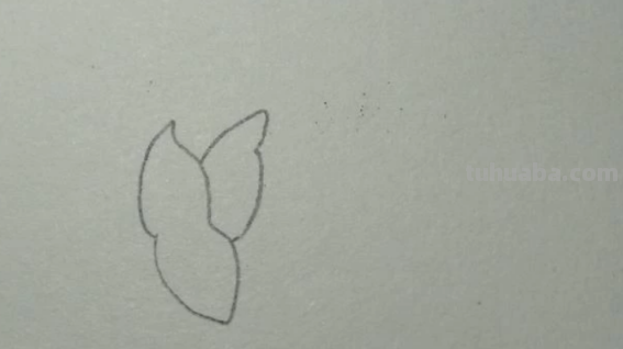 红色风暴蓝色妖姬怎么画