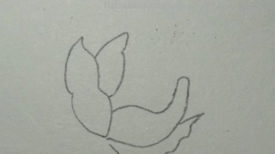 红色风暴蓝色妖姬怎么画