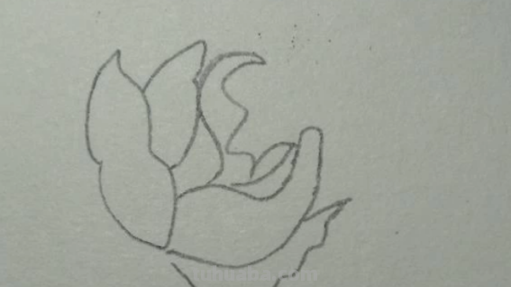 红色风暴蓝色妖姬怎么画