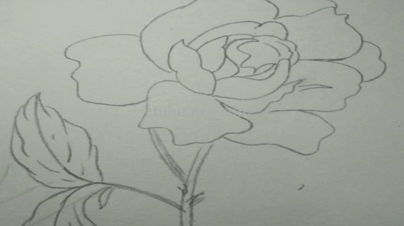 红色风暴蓝色妖姬怎么画