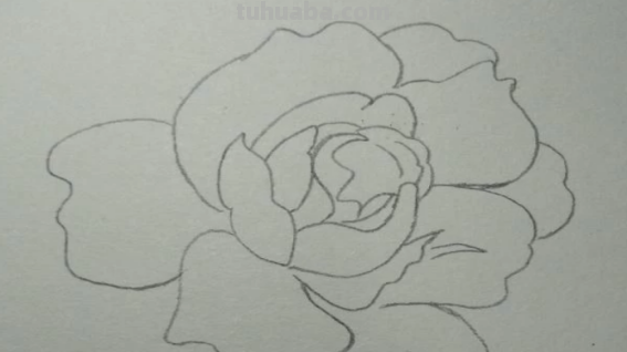 红色风暴蓝色妖姬怎么画