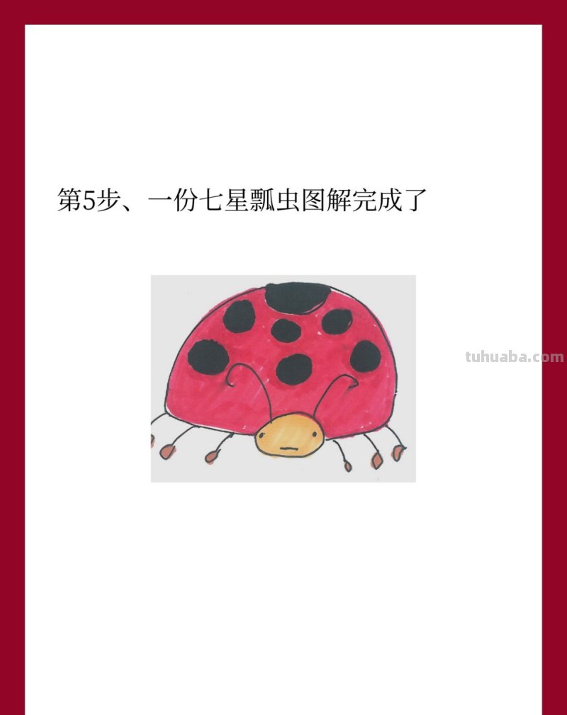七星瓢虫简笔画画法图片步骤