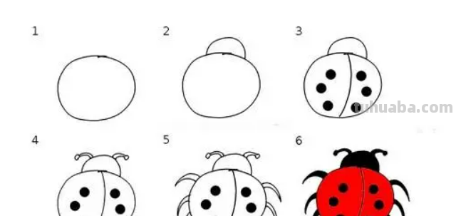 七星瓢虫的画法
