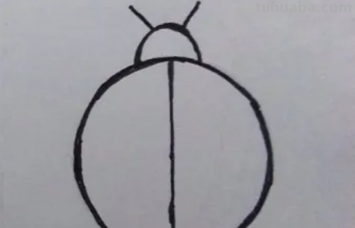 七星瓢虫怎么画简笔画