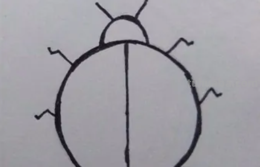 七星瓢虫怎么画简笔画