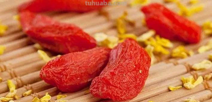 家庭枸杞种子种植方法