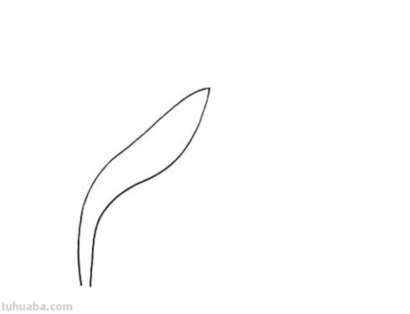 水仙花怎么画 水仙花怎么画简单好看