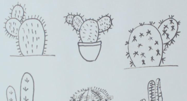 怎么画仙人掌 怎么画仙人掌