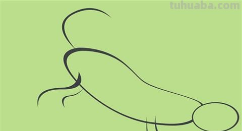 虎头怎么画简笔画 画虎教程？