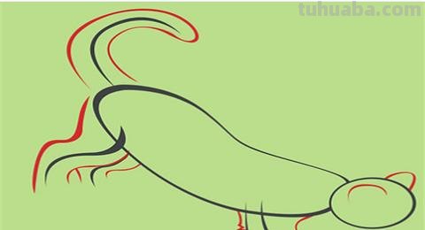 虎头怎么画简笔画 画虎教程? 虎头怎么画简笔画 画虎教程?