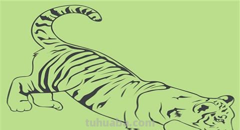 虎头怎么画简笔画 画虎教程? 虎头怎么画简笔画 画虎教程?